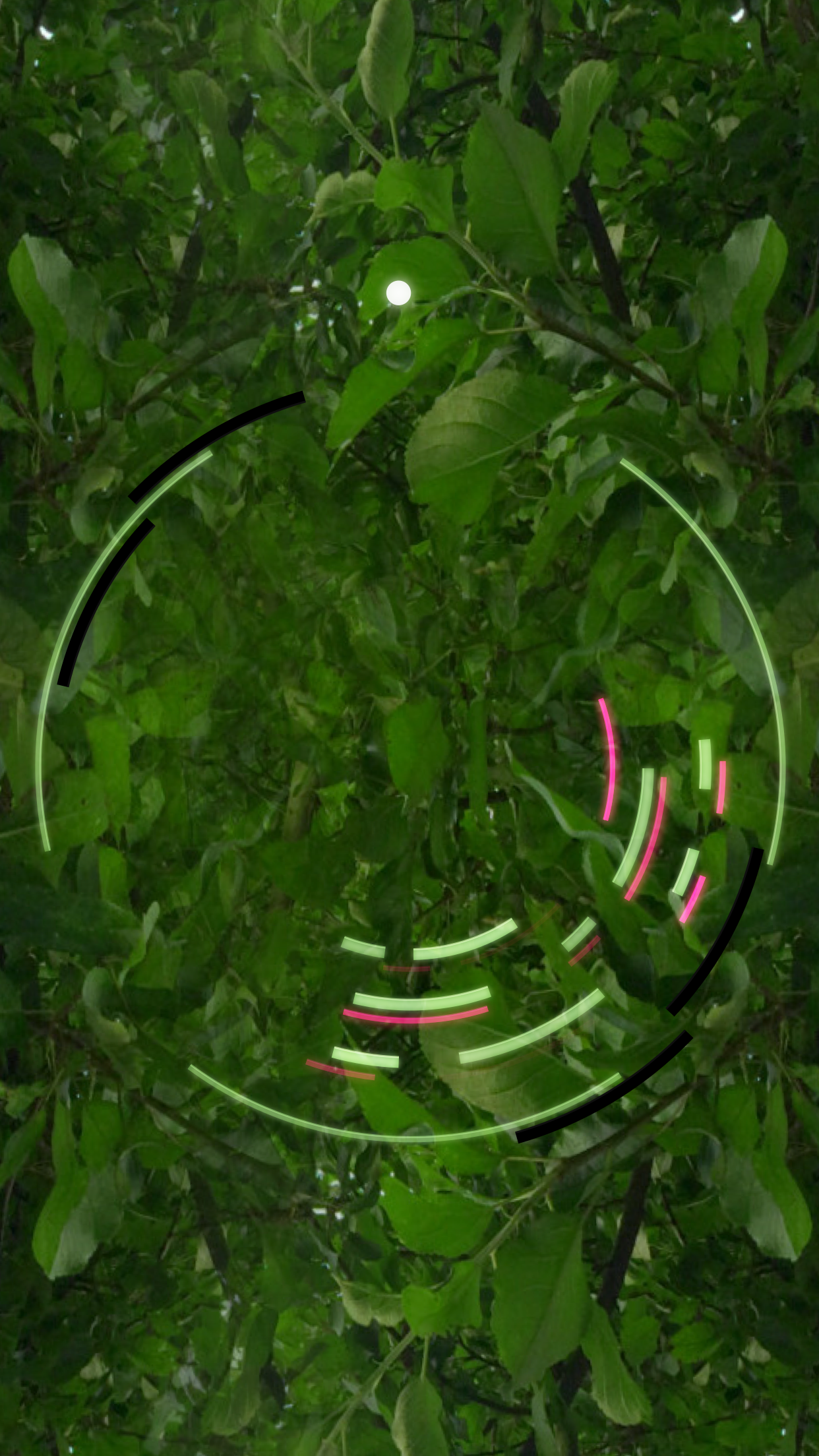 Gameplay