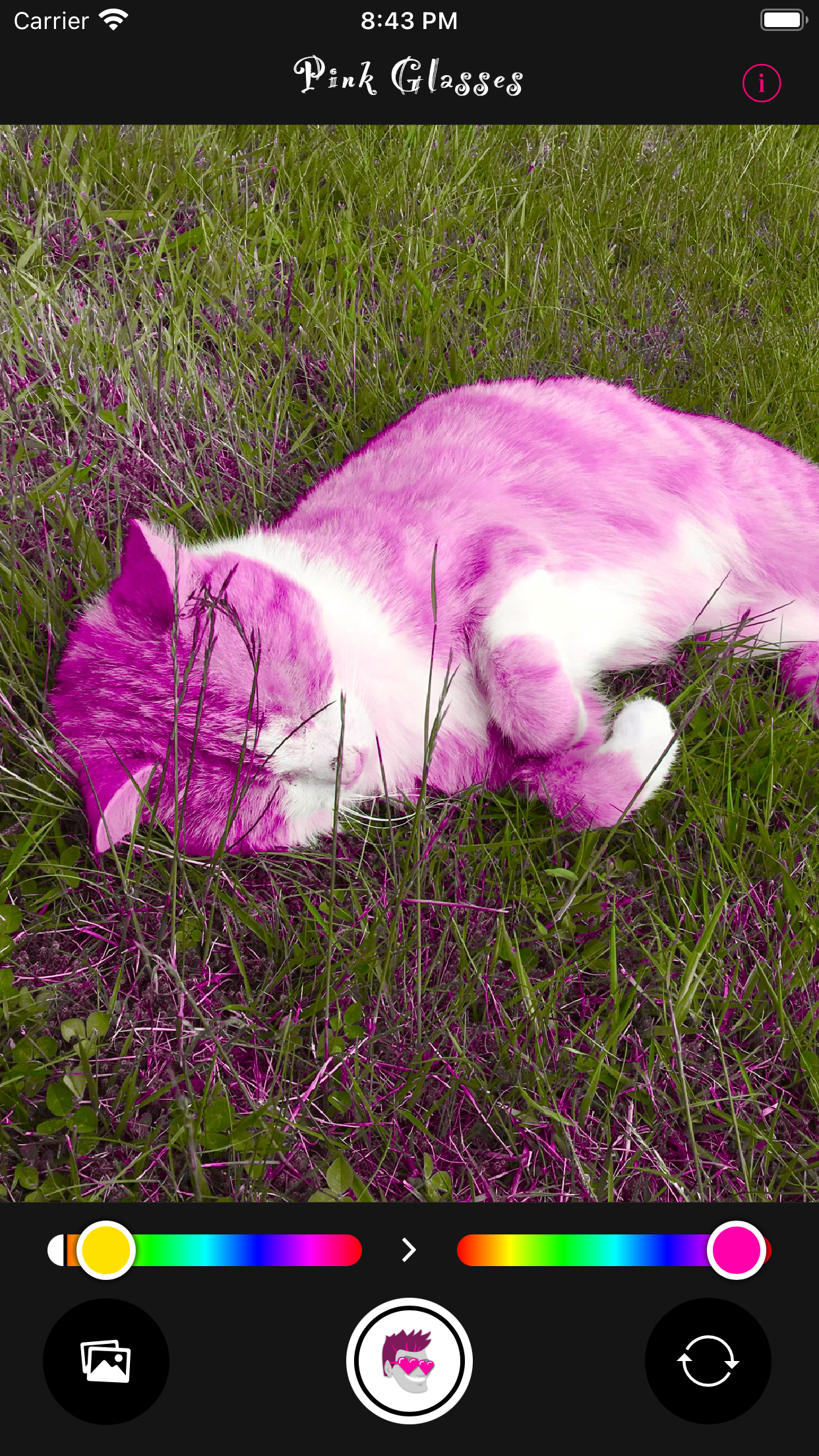 Cat being pinked