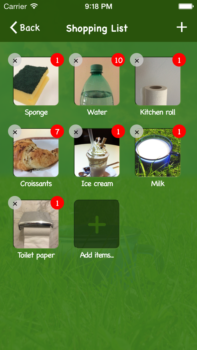 Shopping list